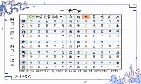 地支十二長生|十二长生